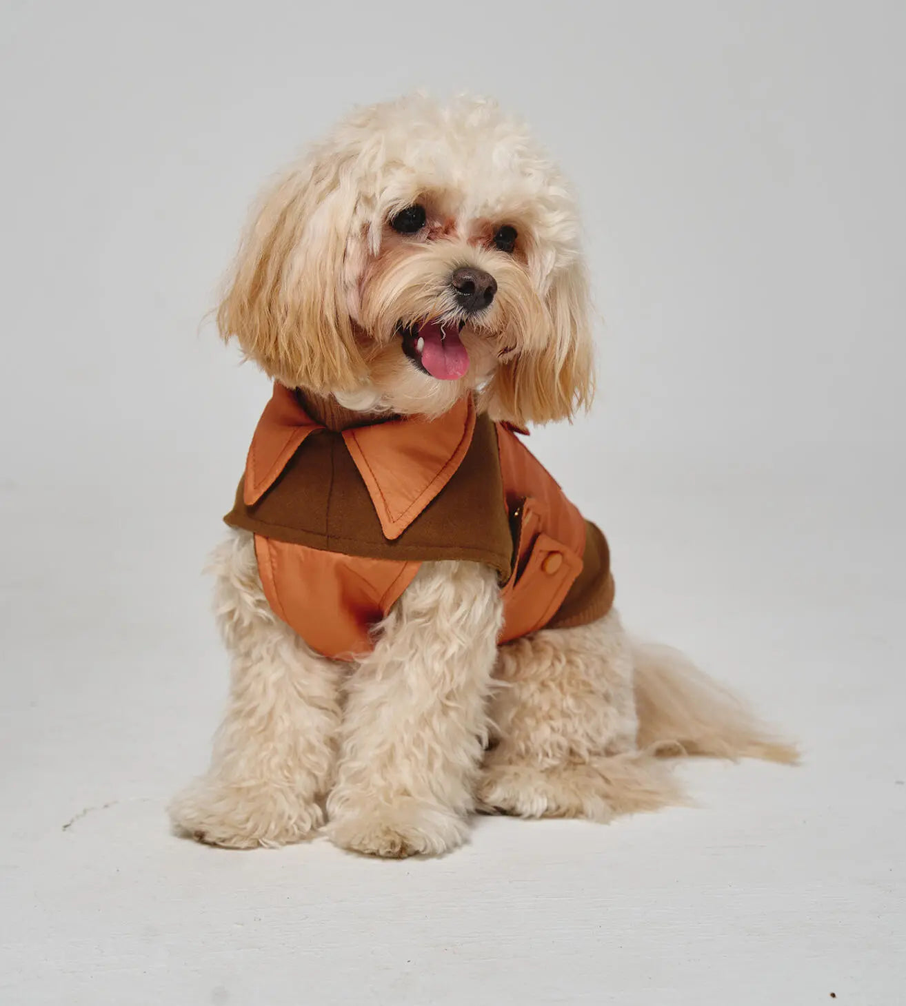 Dog Coat Blanket “Noble Tails”