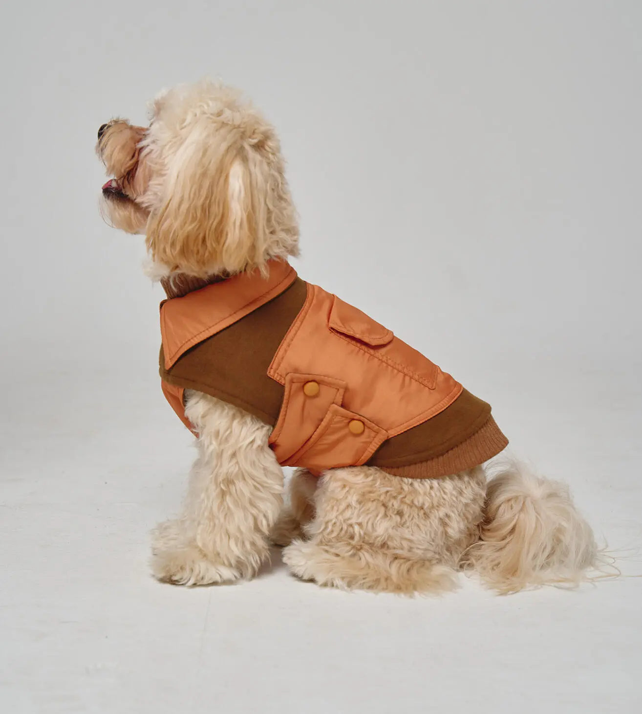 Dog Coat Blanket “Noble Tails”
