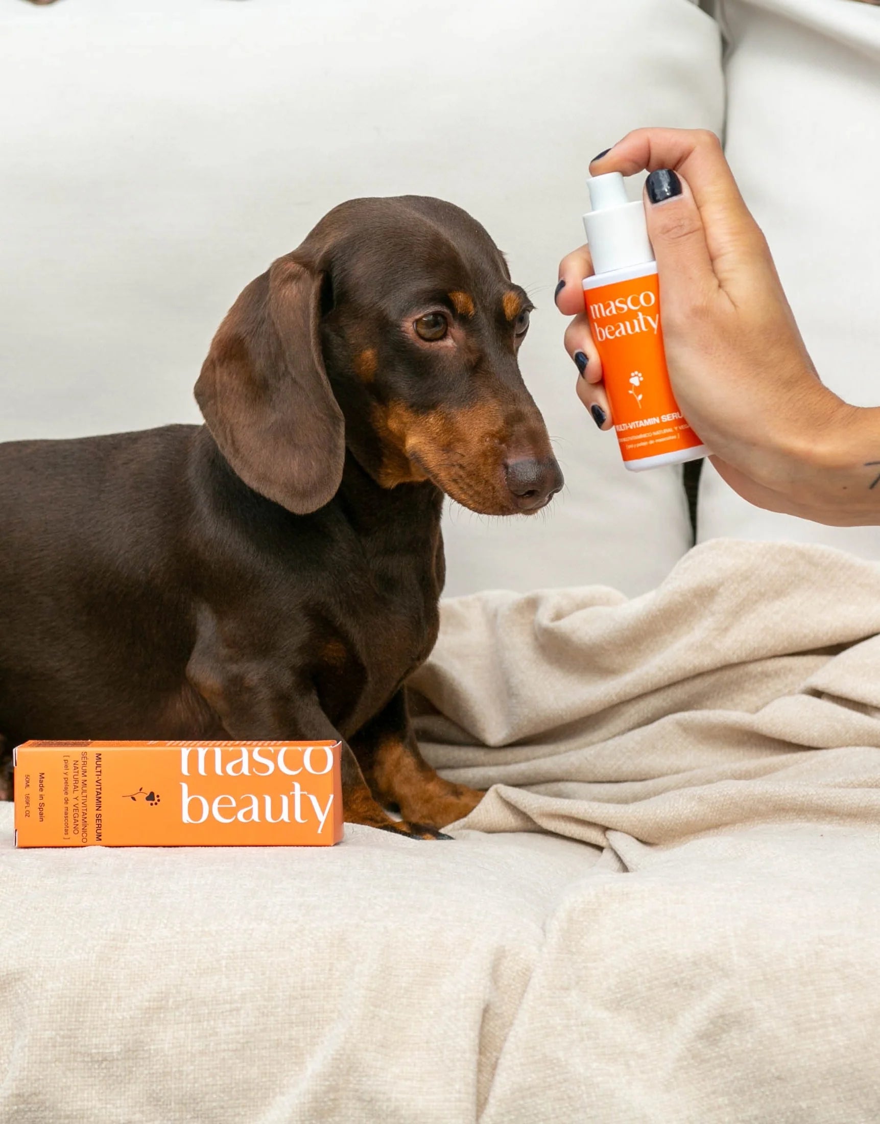 Dog getting sprayed with Masco beauty multi-vitamin serum