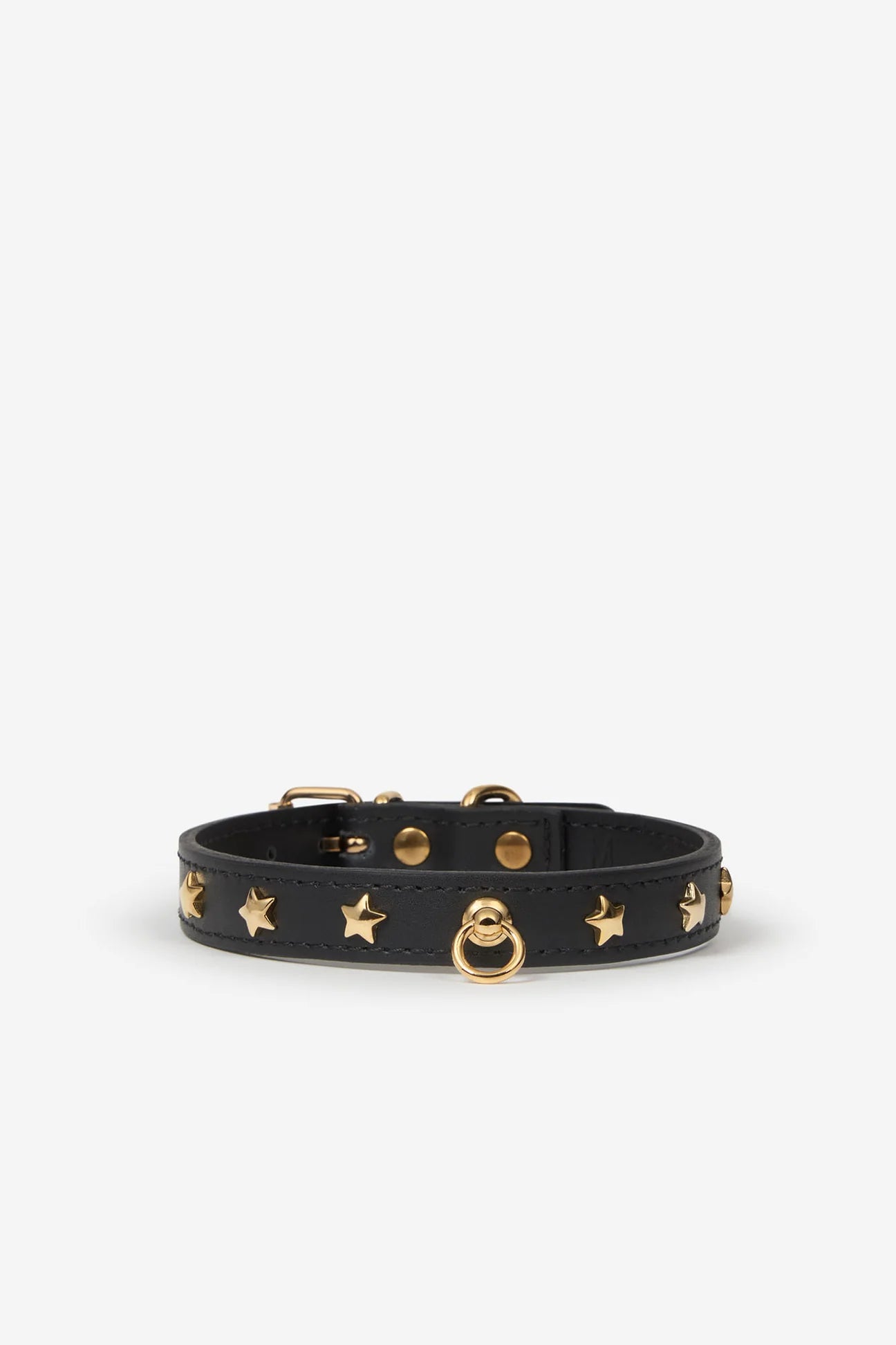 Black leather dog collar with golden studs 