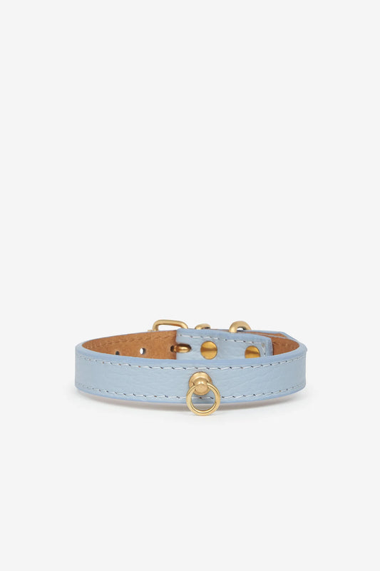 Sky blue leather dog collar