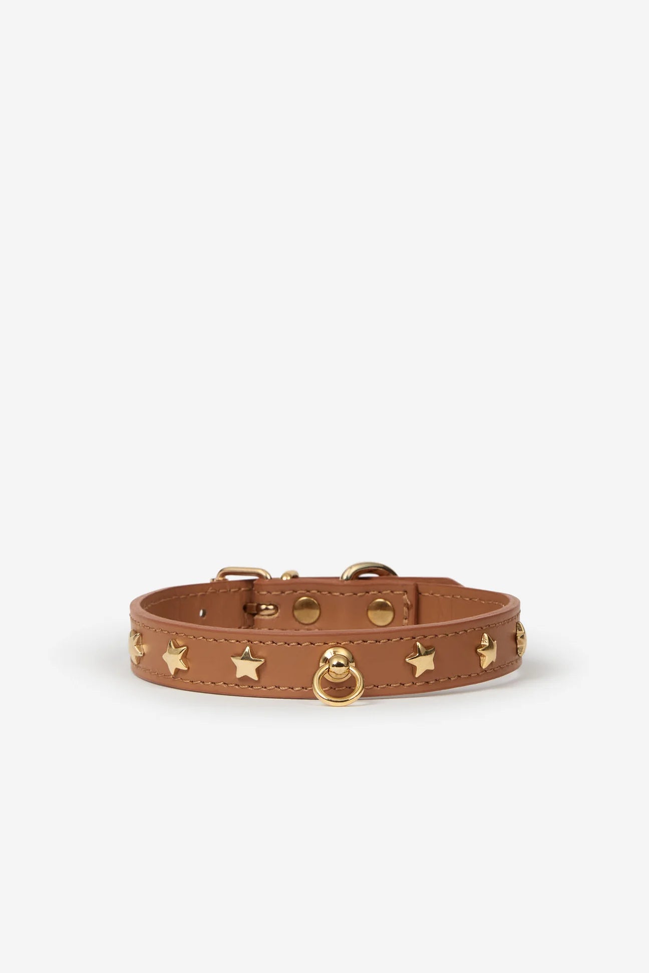 Brown leather dog collar with golden studs