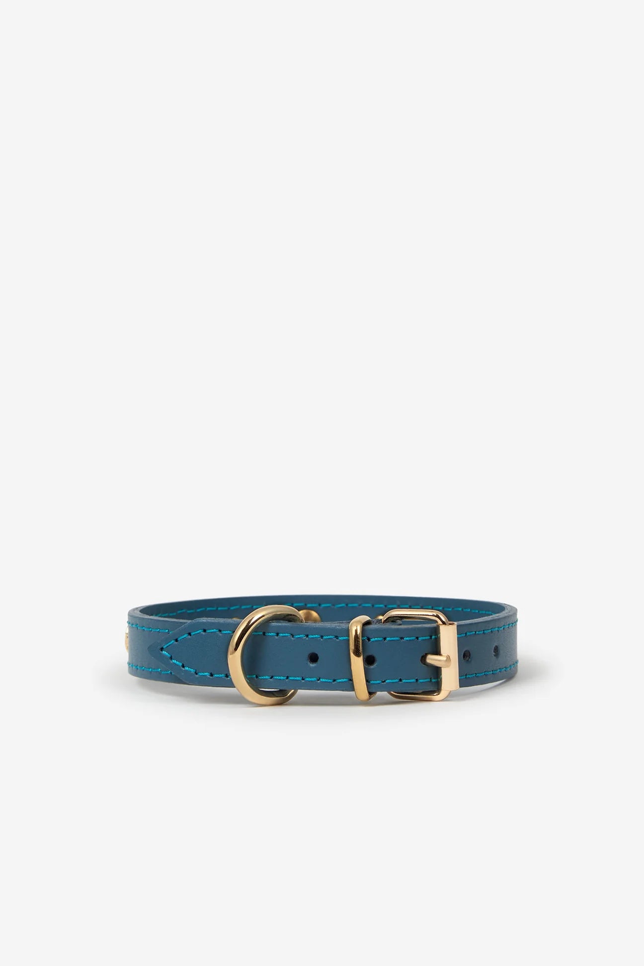 Blue leather dog collar with golden studs
